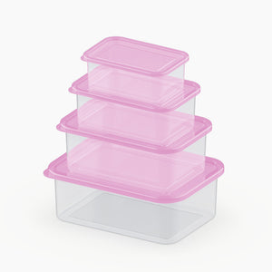 delight container set of 4 PINK